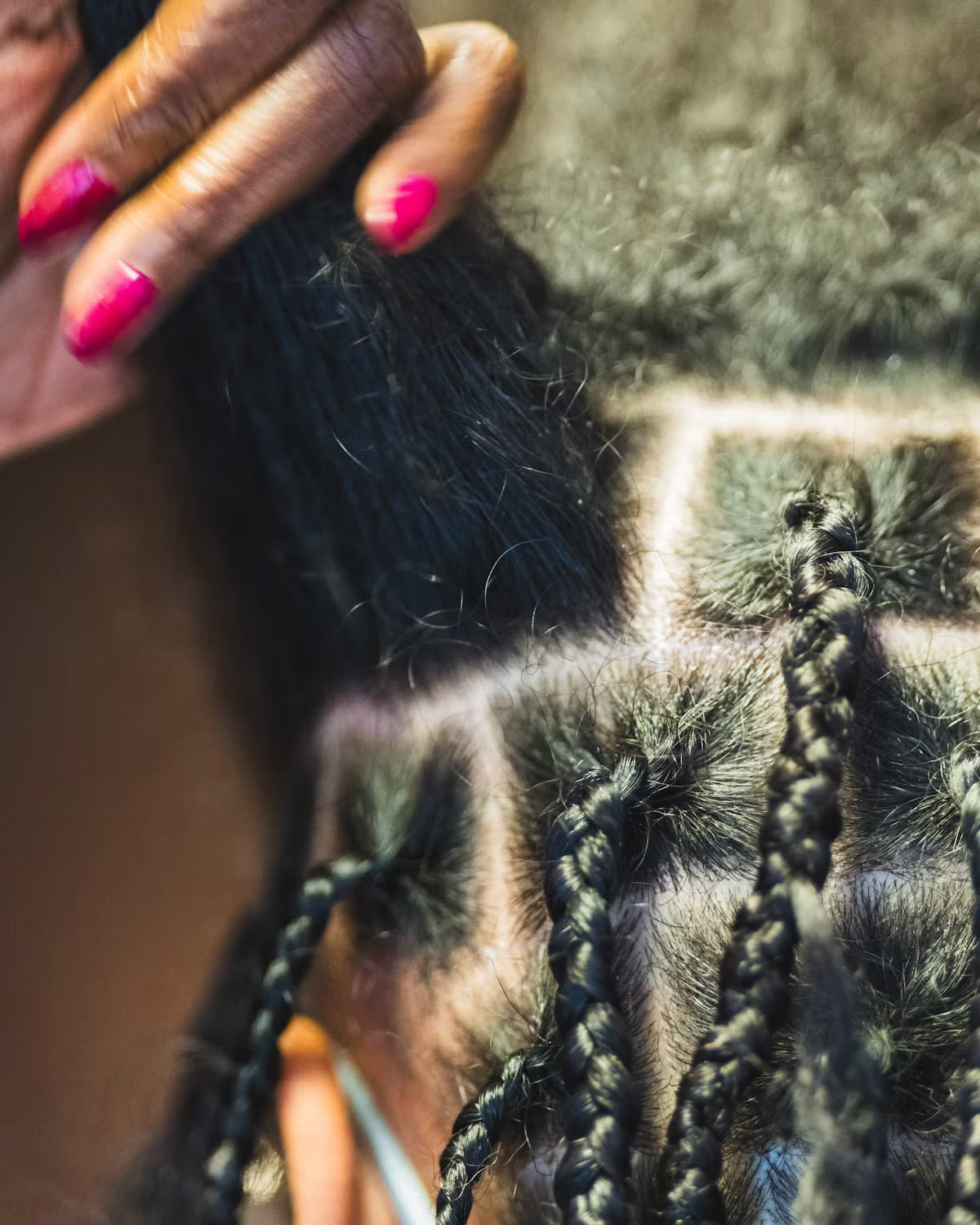 The “Rooted and Restored” Collection